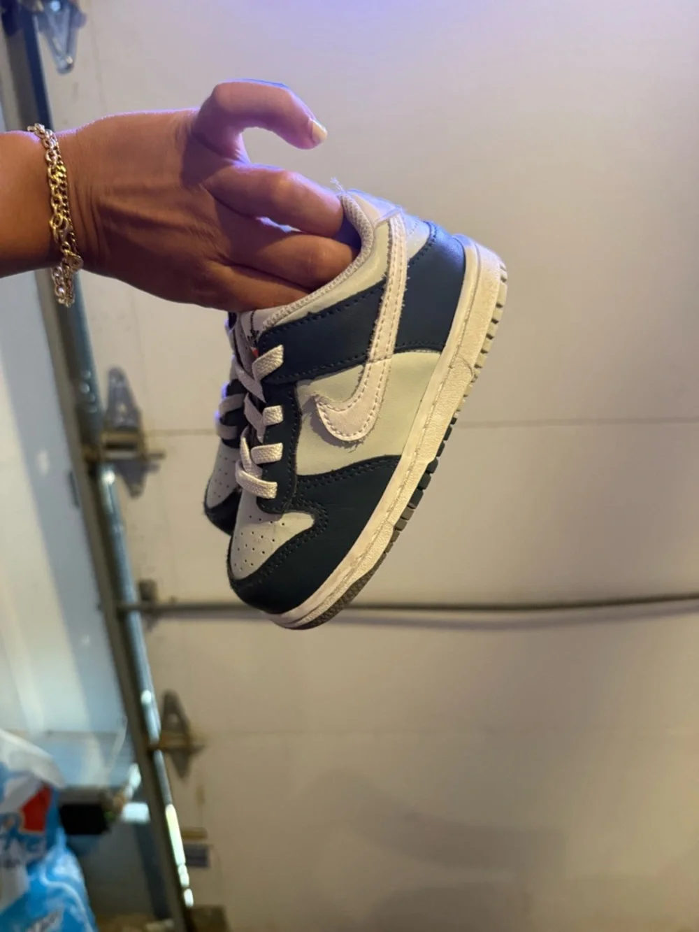 Kids Nike Dunk